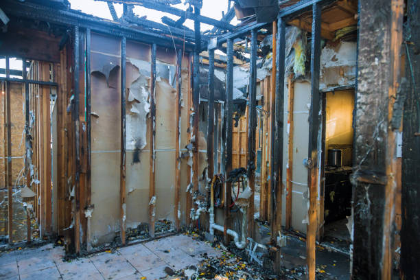 Professional Fire Damage Removal technician working in Laurel, VA